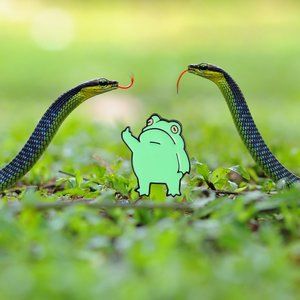 3For$15 Frog Giving the Finger Enamel Pin